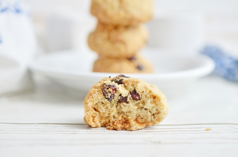 Oatmeal Cranberry Cookies Close up with bite