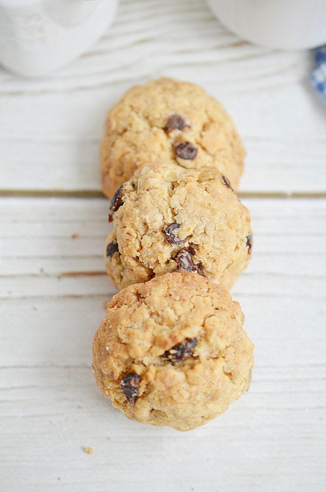 Oatmeal Cranberry Cookies in a line on table