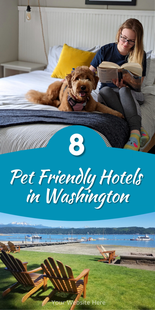 Pet Friendly Hotels Near Me in Washington