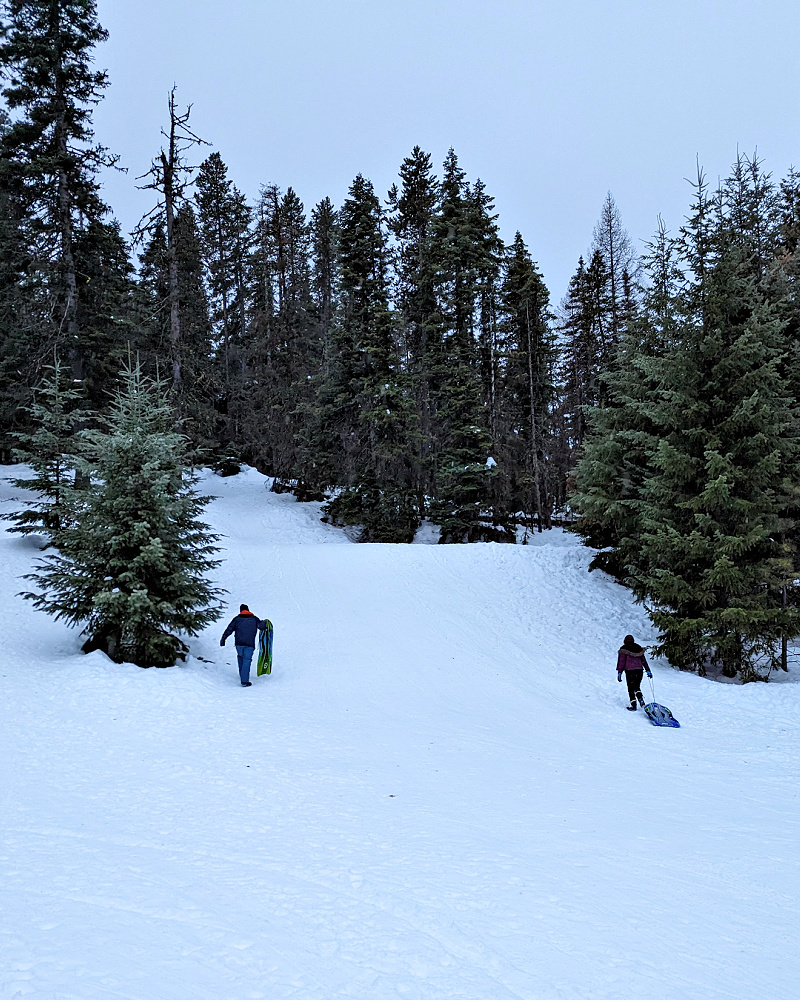 Sledding Hill at Blewett Pass