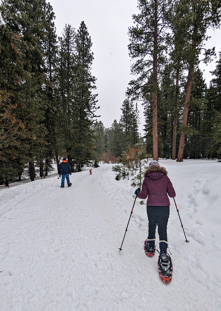 Snowshoeing at Wenatchee Crest Trail