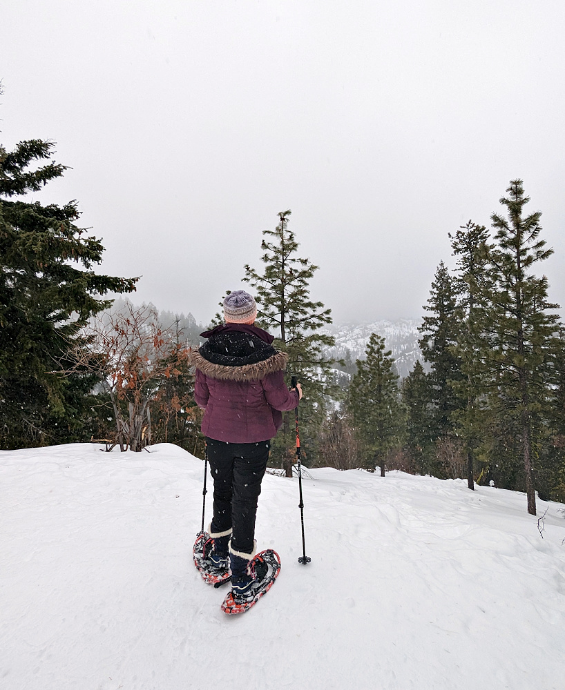 Wenatchee Crest Trail Viewpoint