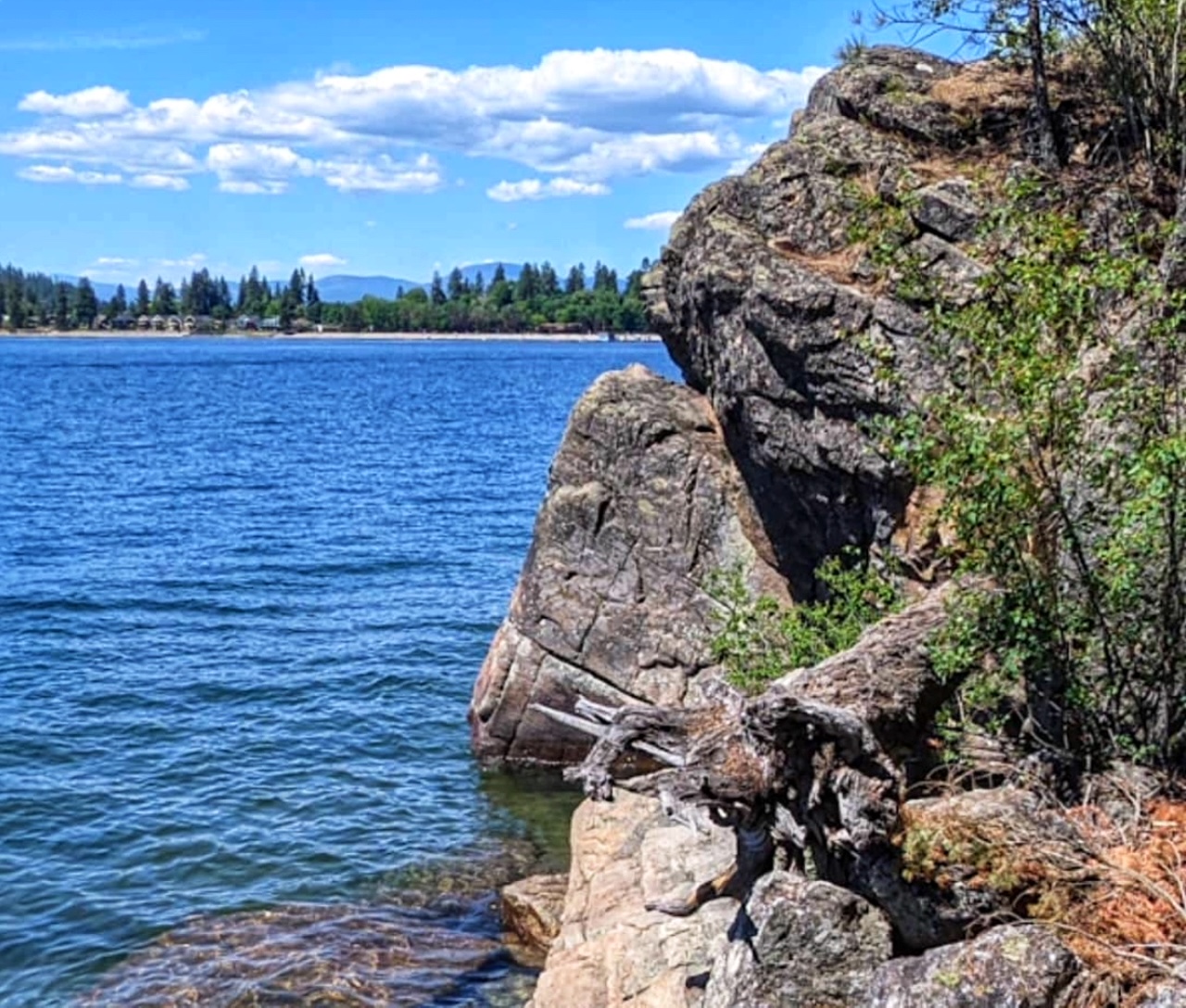 Tubbs Hill in Coeur d'alene