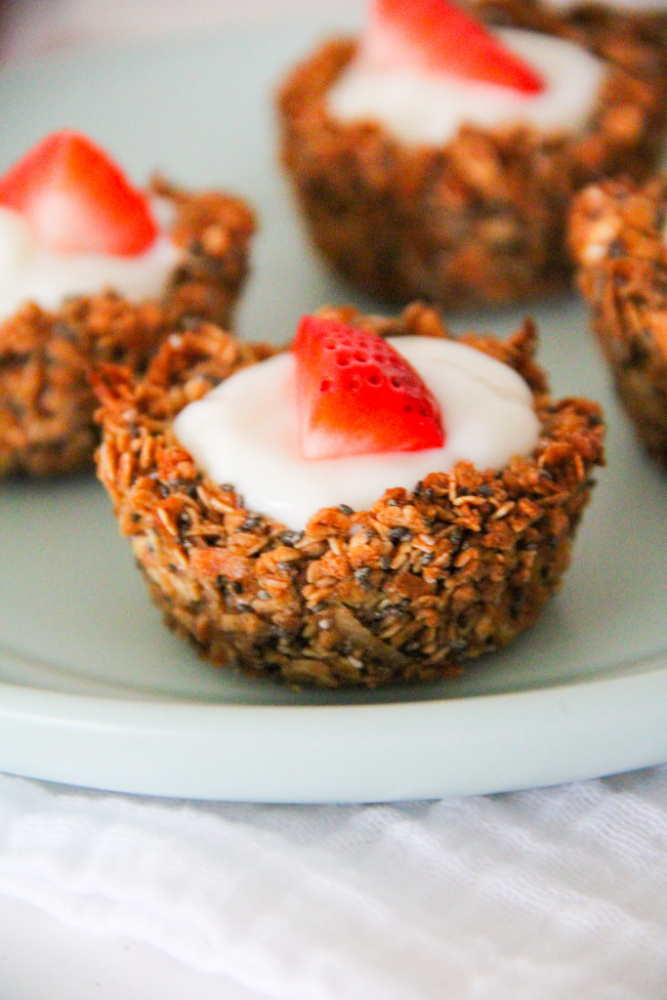 Closeup of yogurt with granola cup