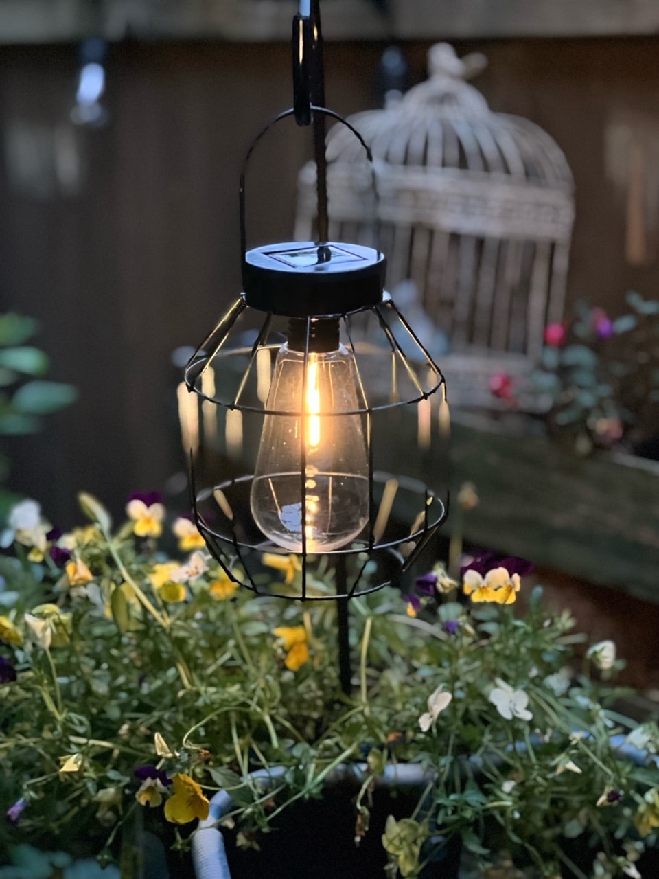 Edison bulb solar lantern