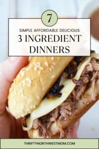 3 Ingredient Dinners for Busy Nights - 7 Easy & Delicious Options