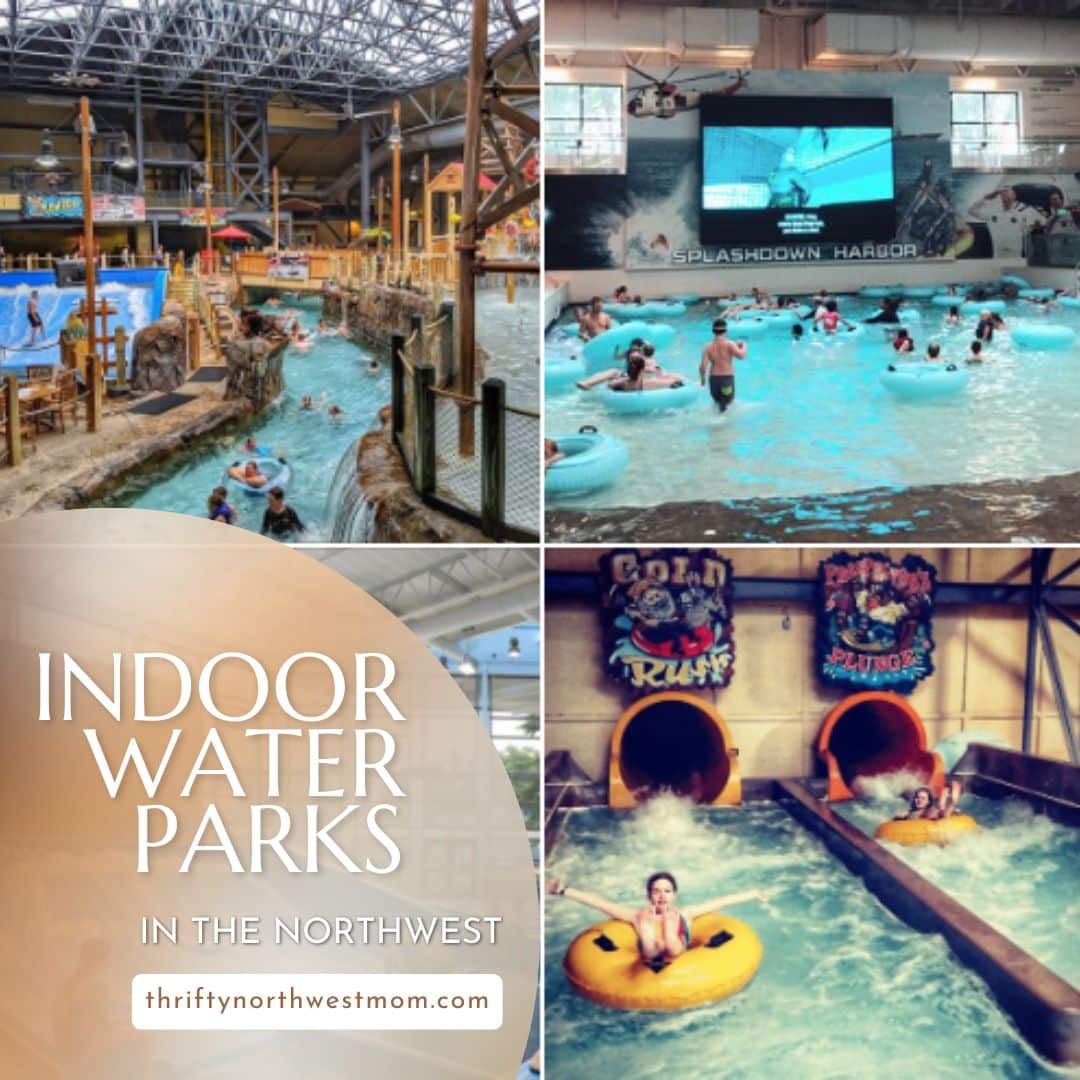 Northwest Adventure Parks - So Many Fun Options! - Thrifty NW Mom