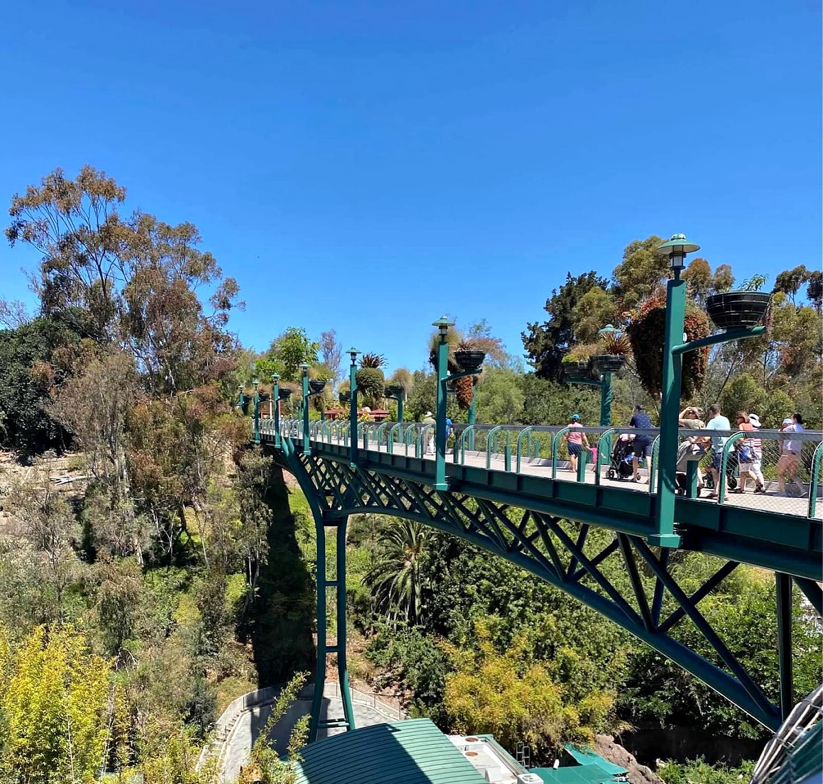 Bridge at San Diego Zoo