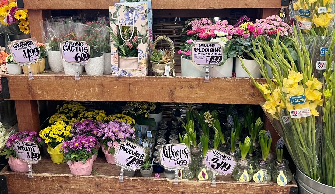 Flowers at Trader Joes for under $5