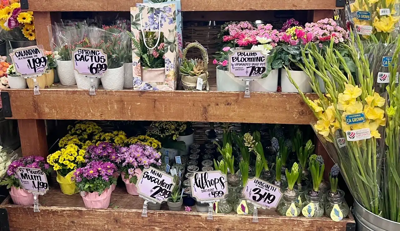 Flowers at Trader Joes for under $5