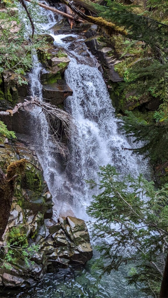 Mount Rainier Guide - Nisqually Entrance - What to Do in & Near the ...