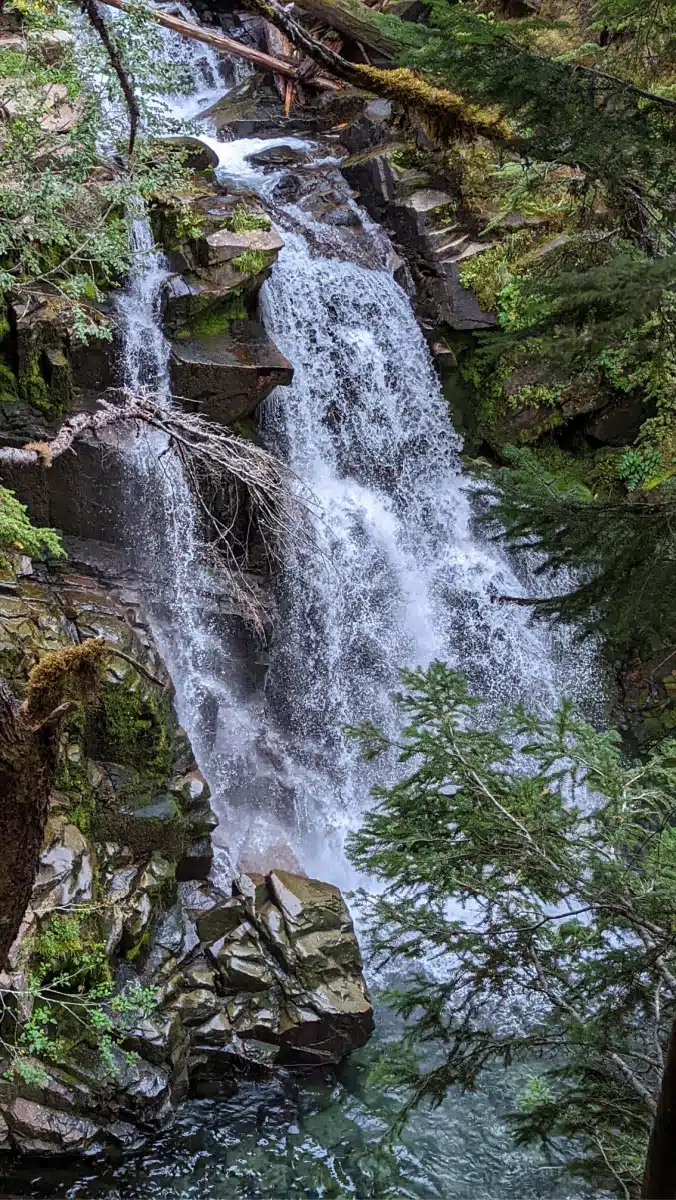 Carter Falls Mount Rainier