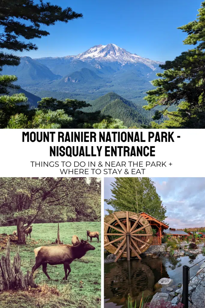 Mount Rainier Guide Nisqually Entrance