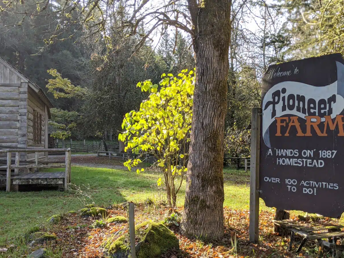 Pioneer Farm & Ohop Native American Tribe Camp