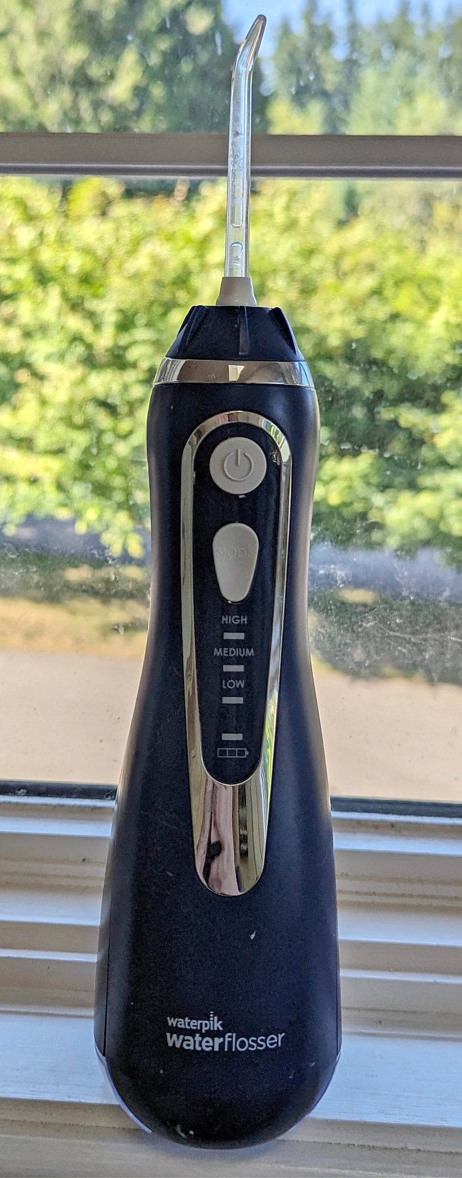 Waterpik Water Flosser