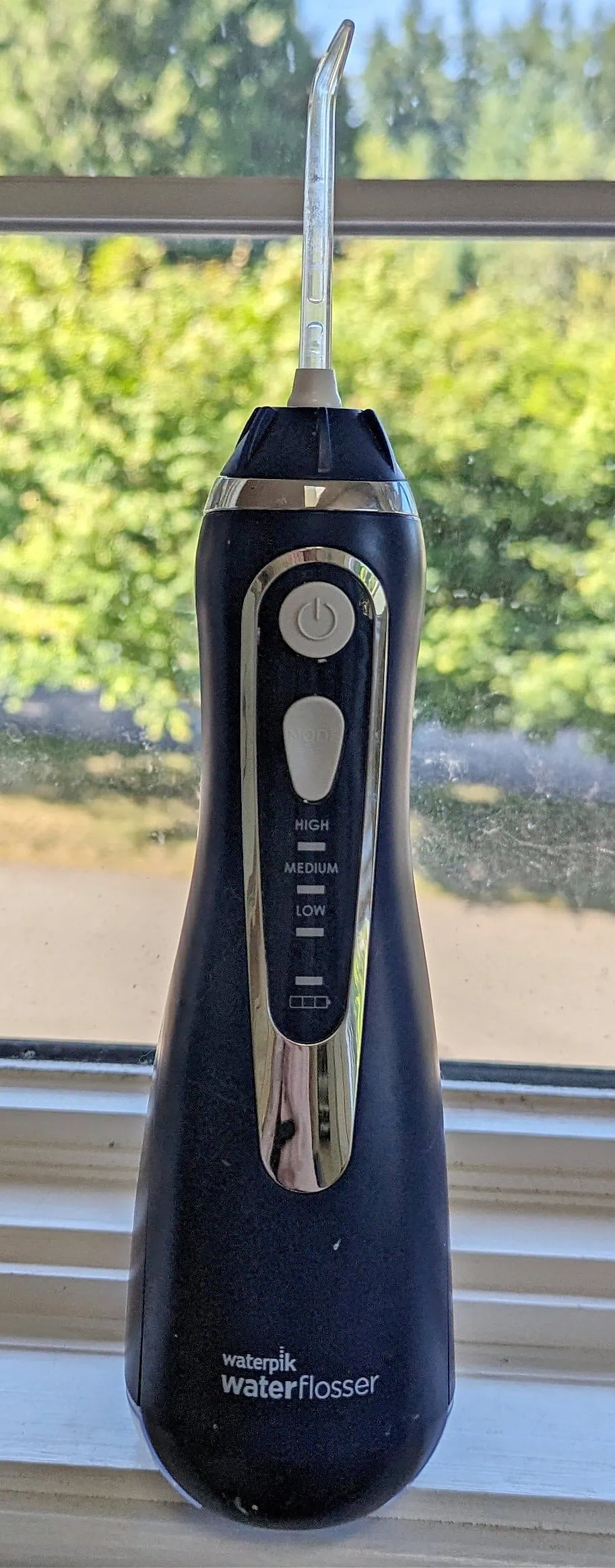 Waterpik Water Flosser