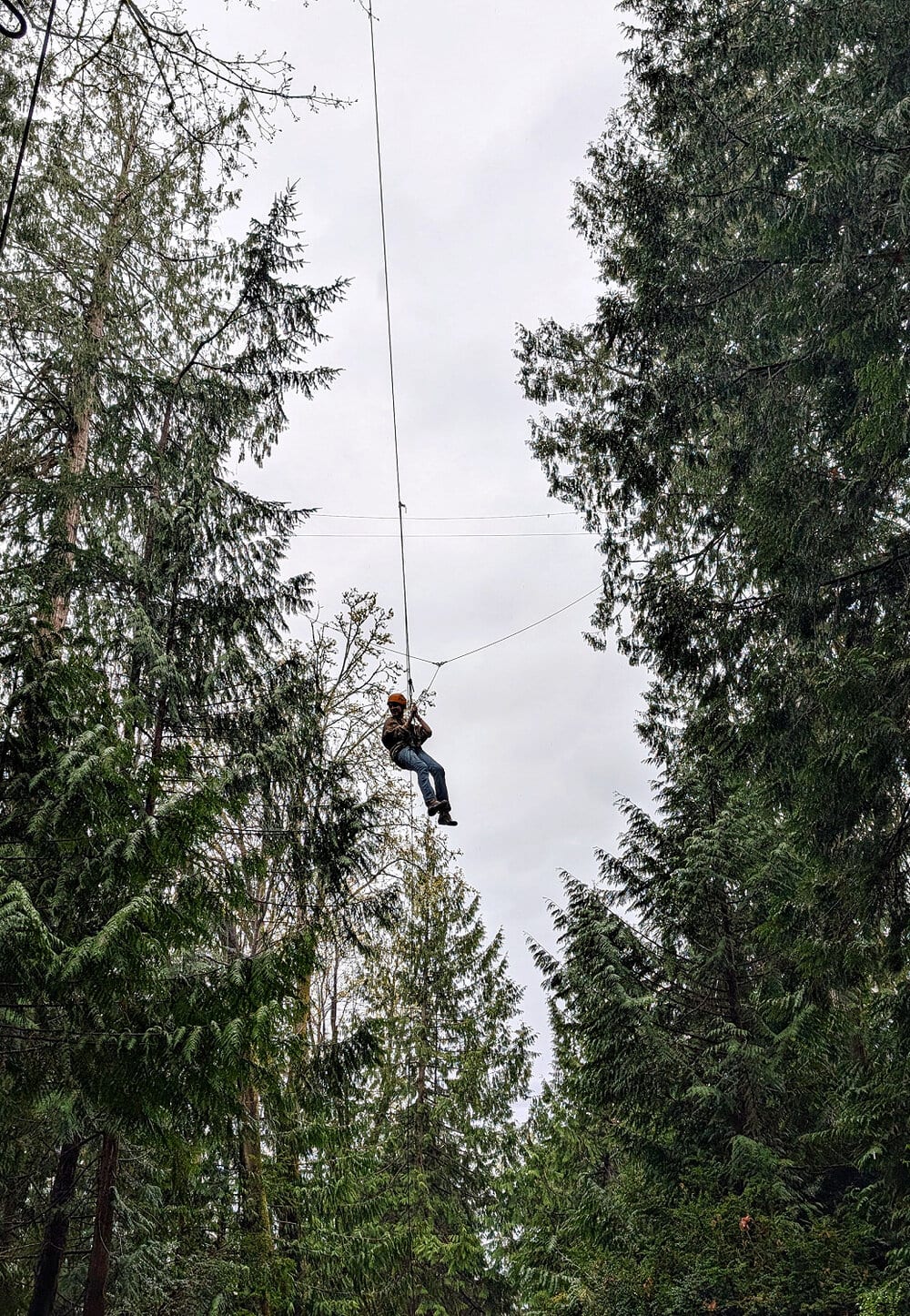 Swinging high in the air at Camp Colman